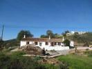 Photo of tav1827