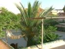 Photo of Riad_Ham_Braz