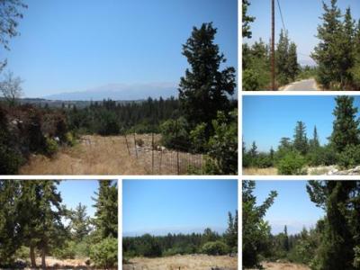 1. Superb plot in stunning location